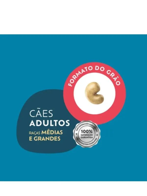 Ração Quatree Select Frango cães médios e grandes em grãos
