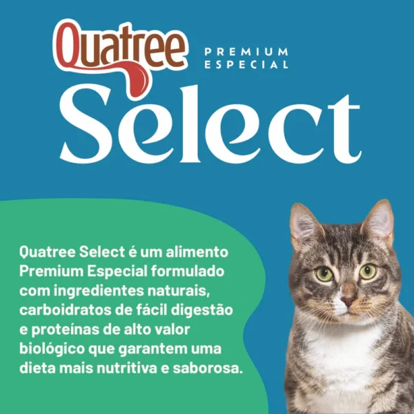 ração quatree select gatos adulto salmão ingredientes fórmula avançada