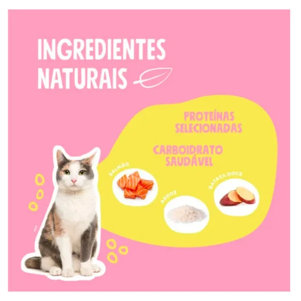 ração quatree select gatos adulto salmão ingredientes naturais