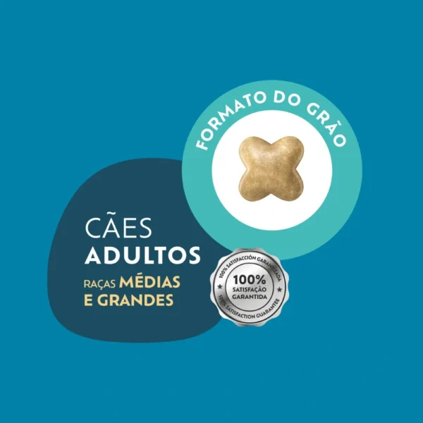 Banner da Quatree Select para cães adultos. Falando sobre a quatree select cães adultos raças médias e grandes.