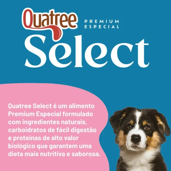 Informações sobre a ração Quatree com um cachorro ilustrando para representar a palavra-chave quatree select filhotes racas medias e grandes informacoes.