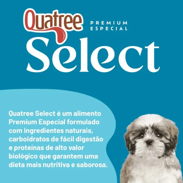 Informações sobre a ração Quatree com um cachorro ilustrando para representar a palavra-chave quatree select filhotes racas pequenas informacoes.