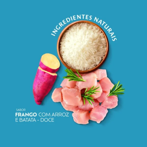 Imagem ilustrativa de batata-doce, frango e arroz para representar a palavra-chave quatree select filhotes racas pequenas ingredientes naturais.
