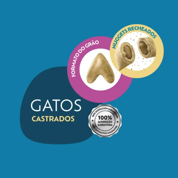 Imagem ilustrativo de grãos da ração de gato para representar a palavra-chave quatree select gatos castrados grao.