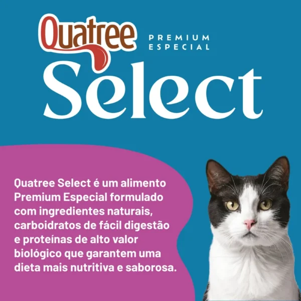 Informações sobre ração de gato para representar a palavra-chave quatree select gatos castrados informacoes.
