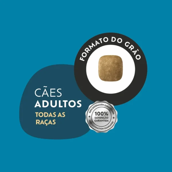 Quatree Select Power Cães Adultos Frango - Imagem 3