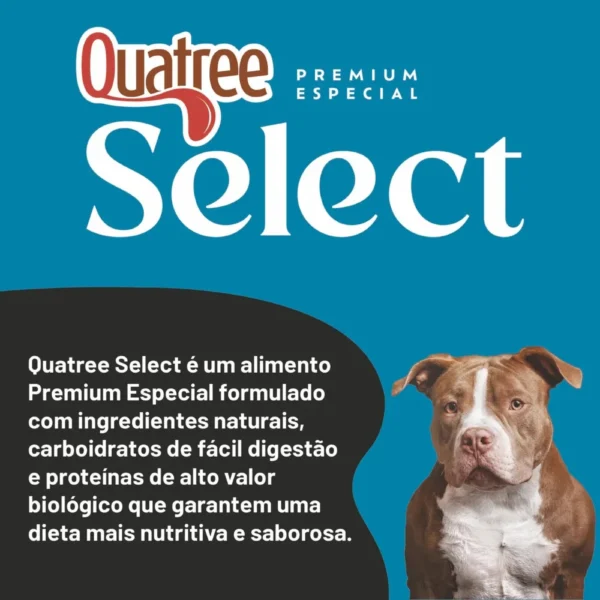 Quatree Select Power Cães Adultos Frango - Imagem 2