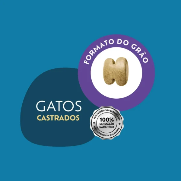 Imagem ilustrativa de um grão de ração para gatos para representar a palavra-chave racao quatree select gatos castrados frango grao.