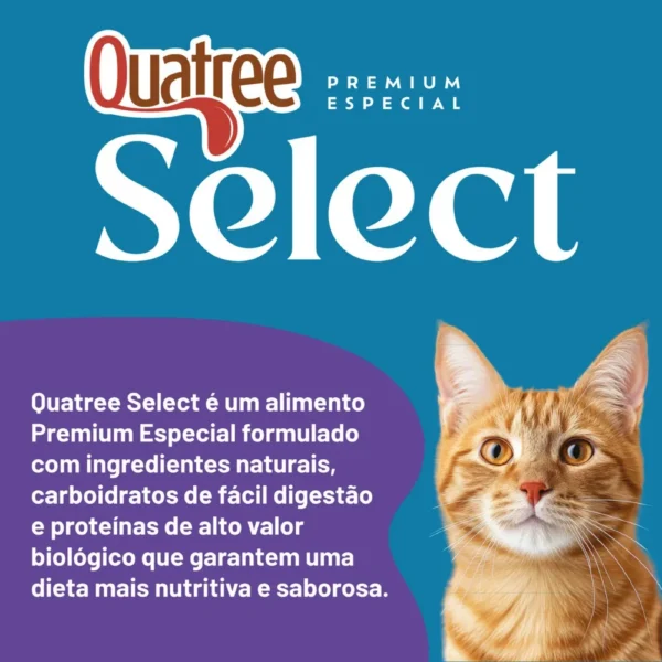 Informações sobre a ração de gato da Quatree em um fundo azul para representar a palavra-chave racao quatree select gatos castrados frango informacoes.