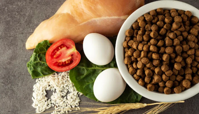 Ração Quatree Gourmet é Standard Premium? Entenda Aqui 1 Um pote de ração de cachorro ao lado de tomate, alface, frango e arroz como ingredientes para representar a palavra-chave composição da ração quatree.