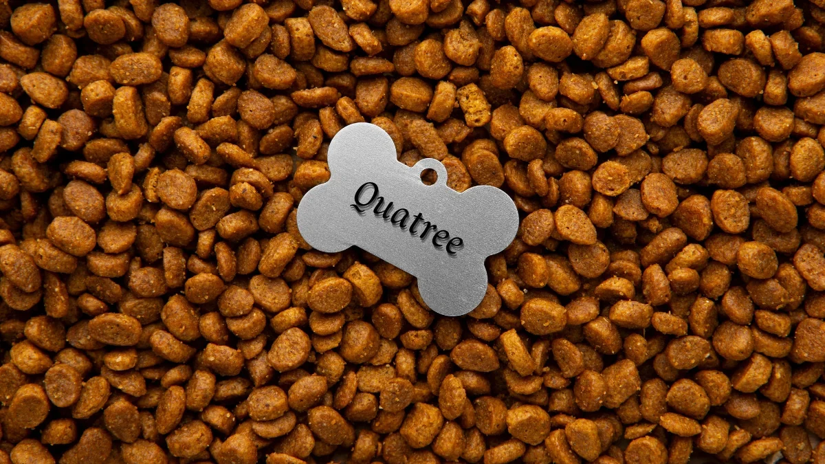ração de cachorro marrom com uma placa de identificação cinza no centro para representar a palavra-chave onde comprar ração quatree supreme gatos.
