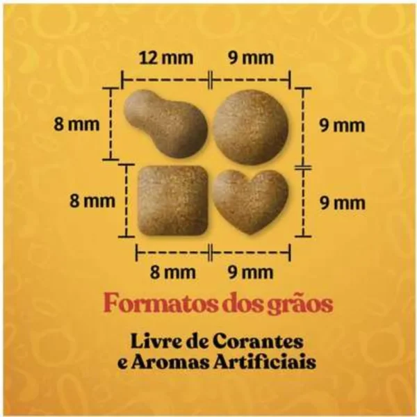 Imagem ilustrativa de grãos de ração de cachorro para representar a palavra-chave quatree gourmet grãos.