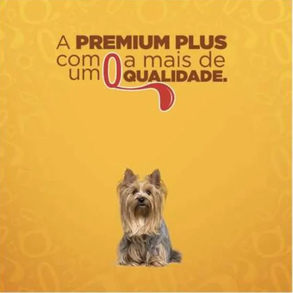 Imagem ilustrativa de um cachorro para representar a palavra-chave quatree gourmet imagem.