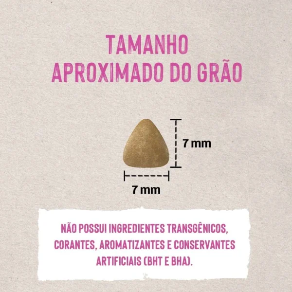 Imagem ilustrativa de grão de ração para gato para representar a palavra-chave quatree life grão.