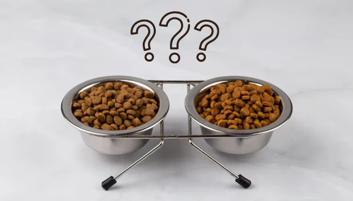 O Segredo Para Comprar Quatree Gatos Mais Barata 2 Duas tigelas de ração para gato em um suporte para representar a palavra-chave ração para gato quatree.