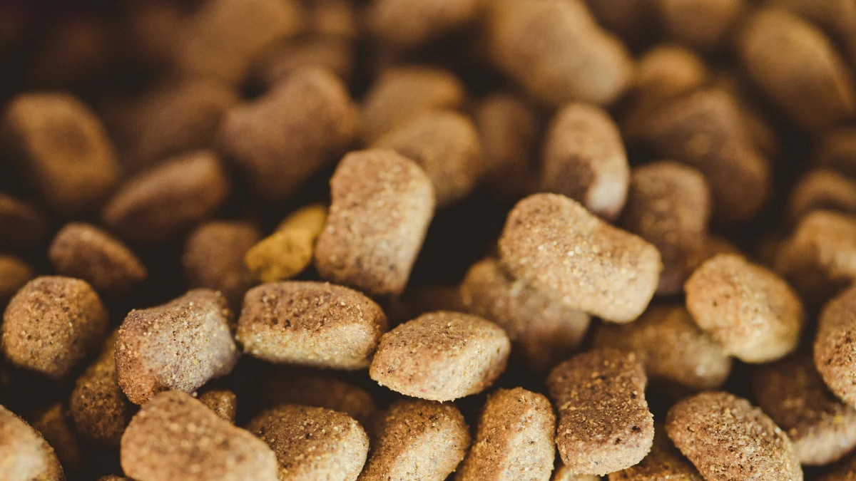 Grãos de ração para cachorro para representar a palavra-chave ração quatree gourmet é classificada como standard premium.