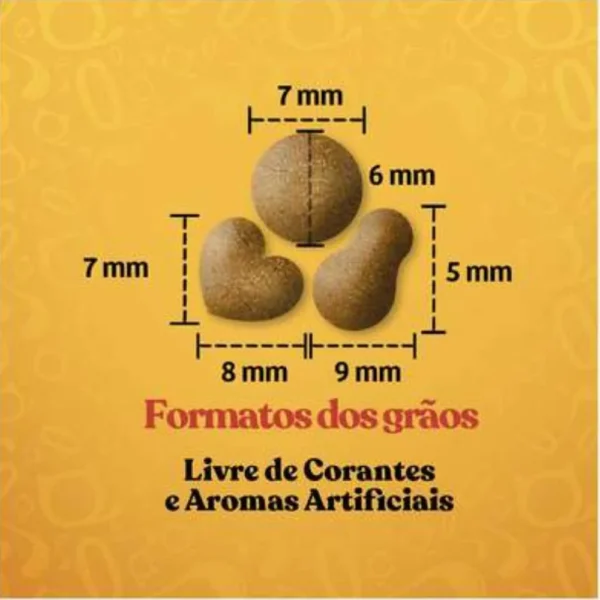 Imagem ilustrativa de grãos de ração para cachorro para representar a palavra-chave ração quatree gourmet filhotes grãos.