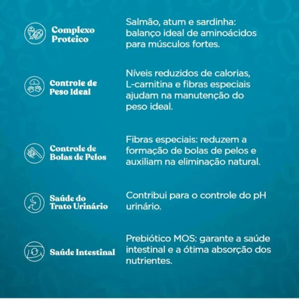 Informações de composição escritas em branco sobre o fundo azul para representar a palavra-chave ração quatree gourmet gatos castrados.
