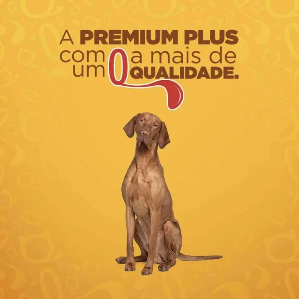 Imagem ilustrativa de um cachorro com o nome da ração Quatree acima para representar a palavra-chave racao quatree gourmet racas medias e grandes mix de carnes ilustracao.