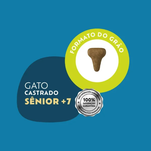 Imagem ilustrativa de um grão de ração de gato para representar a palavra-chave racao quatree select gatos castrados senior +7 frango grao.
