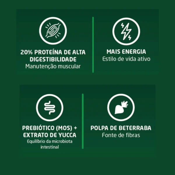 Informações de ração para cachorro escritas em branco sobre o fundo verde para representar a palavra-chave billy dog ossinho cão adulto.
