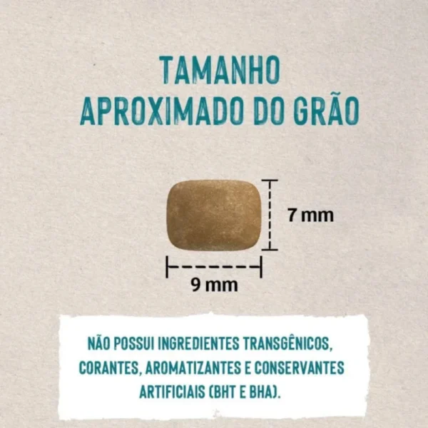 Imagem ilustrativa de um grão de ração de cachorro para representar a palavra-chave quatree life cães adultos grão.