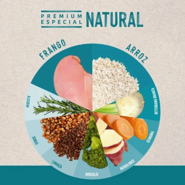 Imagem ilustrativa de ingredientes de ração de cachorro para representar a palavra-chave quatree life cães adultos ingredientes.