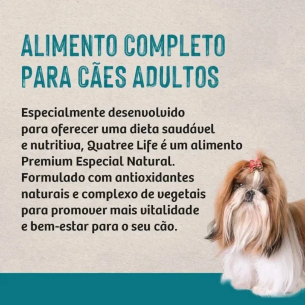 Informações em azul sobre um fundo cinza para representar a palavra-chave quatree life cães adultos raças pequenas.