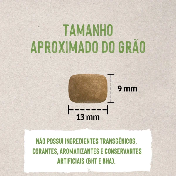 Imagem ilustrativa de grão de ração para cachorro para representar a palavra-chave quatree life filhotes grão.