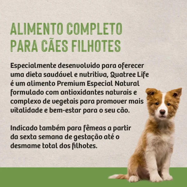 Informações de ração escritas em preto sobre o fundo cinza para representar a palavra-chave quatree life filhotes informação.