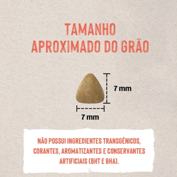 Imagem ilustrativa de um grão de ração de gato para representar a palavra-chave quatree life gatos castrados.