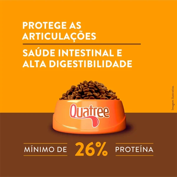 Informações de quantidade diária de ração escritas em branco sobre o fundo amarelo para representar a palavra-chave quatree supreme cães adultos frango e batata doce.