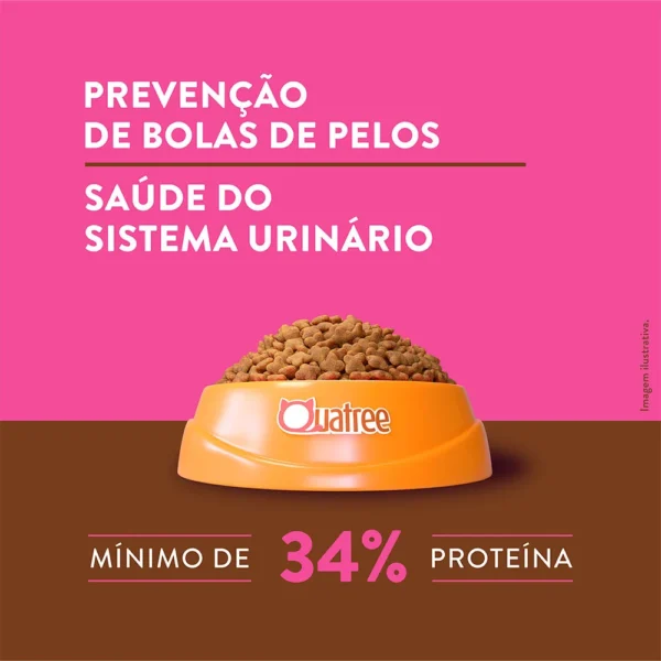 Informações de ração de gato escritas em branco sobre o fundo rosa para representar a palavra-chave quatree supreme gatos salmão.