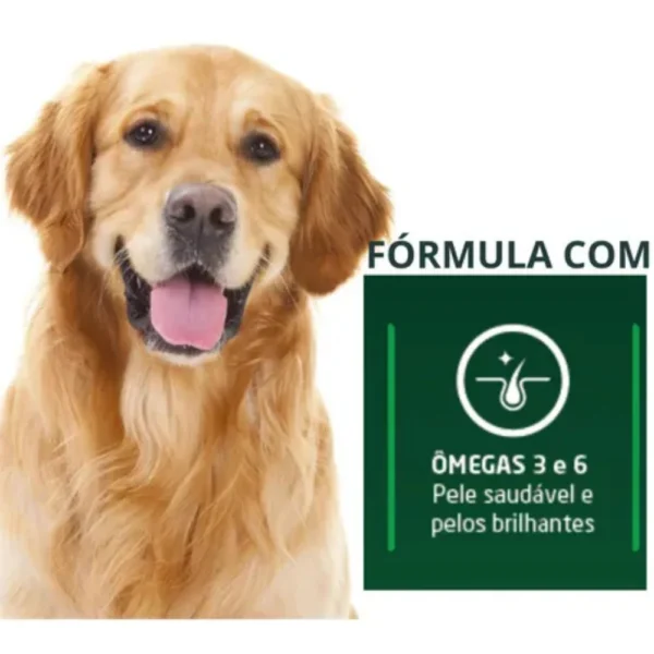 Informações de ração para cachorro escritas em branco sobre o fundo verde e um cachorro do lado para representar a palavra-chave ração billy dog ossinho cão adulto.