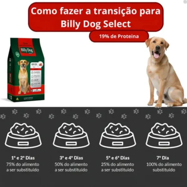 Pacote de ração para cachorro na cor verde com detalhes em vermelho junto de uma tabela para representar a palavra-chave ração billy dog select adultos todas as raças.