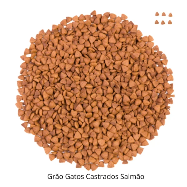 Grãos de ração para gatos para representar a palavra-chave ração quartz gatos castrados.
