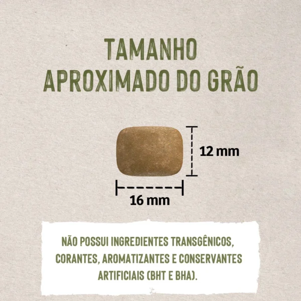 Imagem ilustrativa de grão de ração para representar a palavra-chave ração quatree life cães adultos grãos.