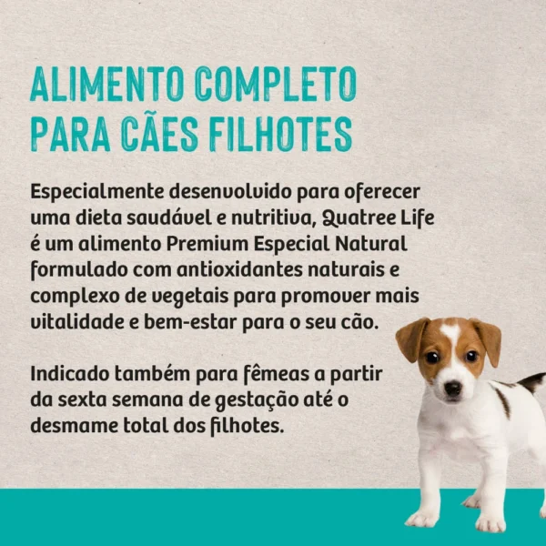 Informações de ração de cachorro escritas em preto sobre o fundo cinza para representar a palavra-chave ração quatree life cães filhotes.