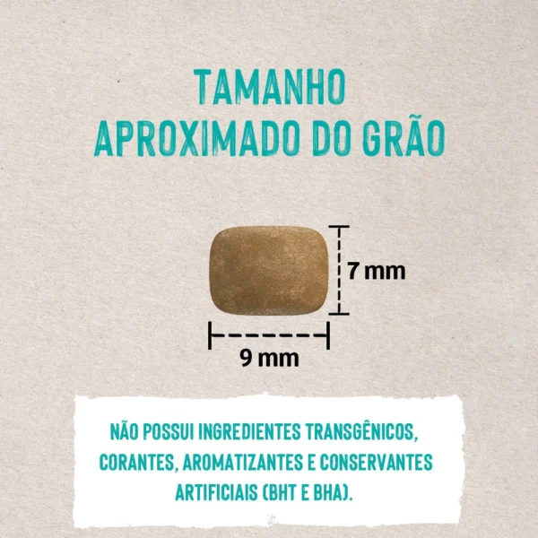 Imagem ilustrativa de um grão de ração de cachorro para representar a palavra-chave ração quatree life cães filhotes grão.