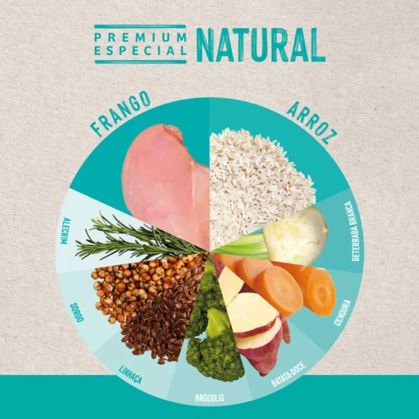 Imagem ilustrativa de ingredientes de ração de cachorro para representar a palavra-chave ração quatree life cães filhotes raças pequenas frango arroz.