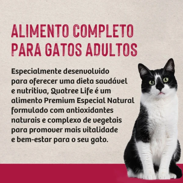 Informações de composição de ração escritas em preto sobre o fundo cinza para representar a palavra-chave ração quatree life gatos adultos salmão.