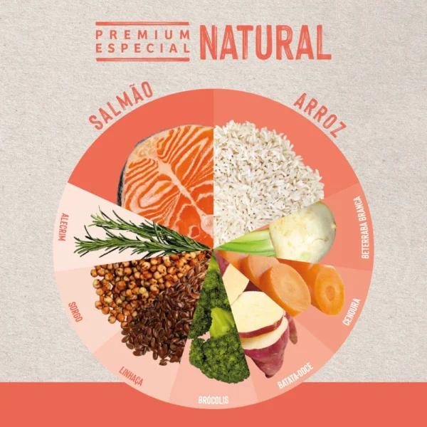 Imagem ilustrativa de ingredientes de ração para gato para representar a palavra-chave ração quatree life gatos castrados.