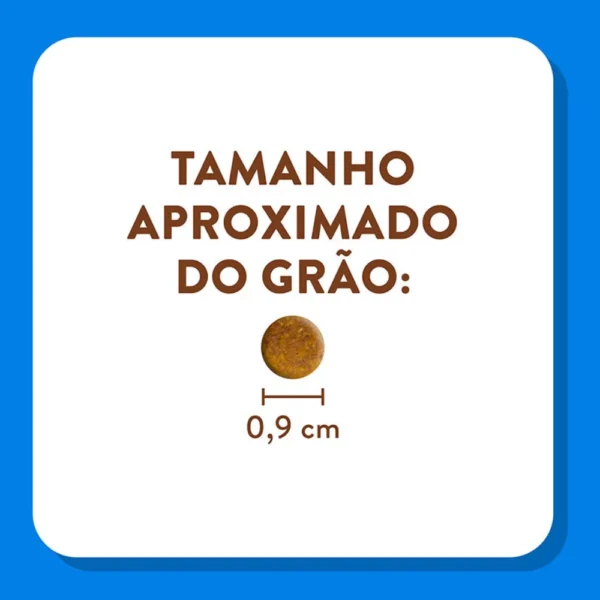 Informações sobre grão de ração de cachorro escritas em marrom no fundo branco para representar a palavra-chave ração quatree supreme cães adultos raças pequenas.