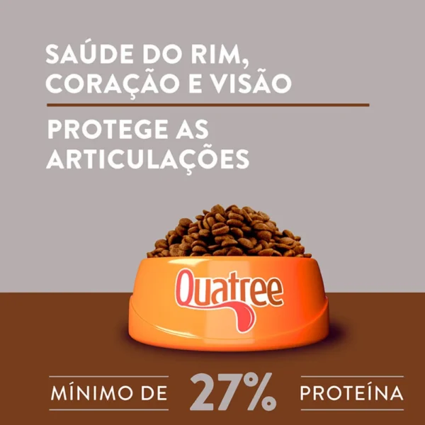 Imagem ilustrativa de uma tigela com ração de cachorro para representar a palavra-chave quatree supreme senior salmão e frango.