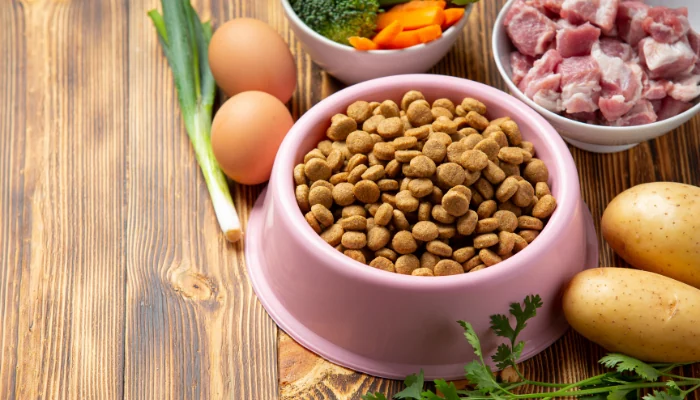 Cibau e Quatree no Pote: Qual Delas Vale a Escolha? 1 Tigela de ração para cachorros com ingredientes ao lado para representar a palavra-chave ração quatree para cachorros.