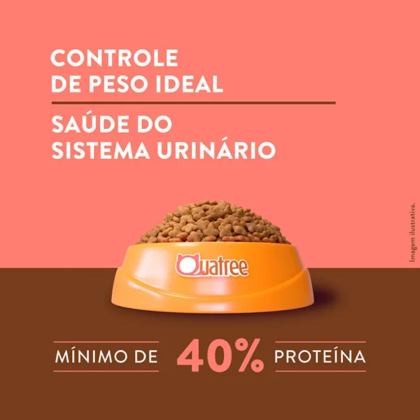 Informações sobre ração de gatos e uma tigela para representar a palavra-chave ração quatree supreme gatos castrados.