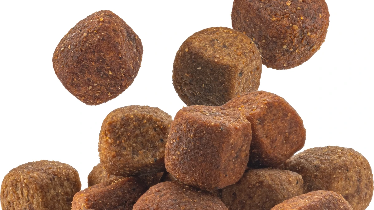 ração para gato, onde comprar ração Quatree para gatos melhor preço.