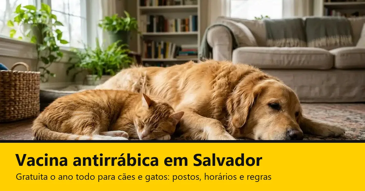 Golden retriever e gato ruivo deitados juntos na sala, com a faixa Vacina antirrábica em Salvador: gratuita o ano todo para cães e gatos