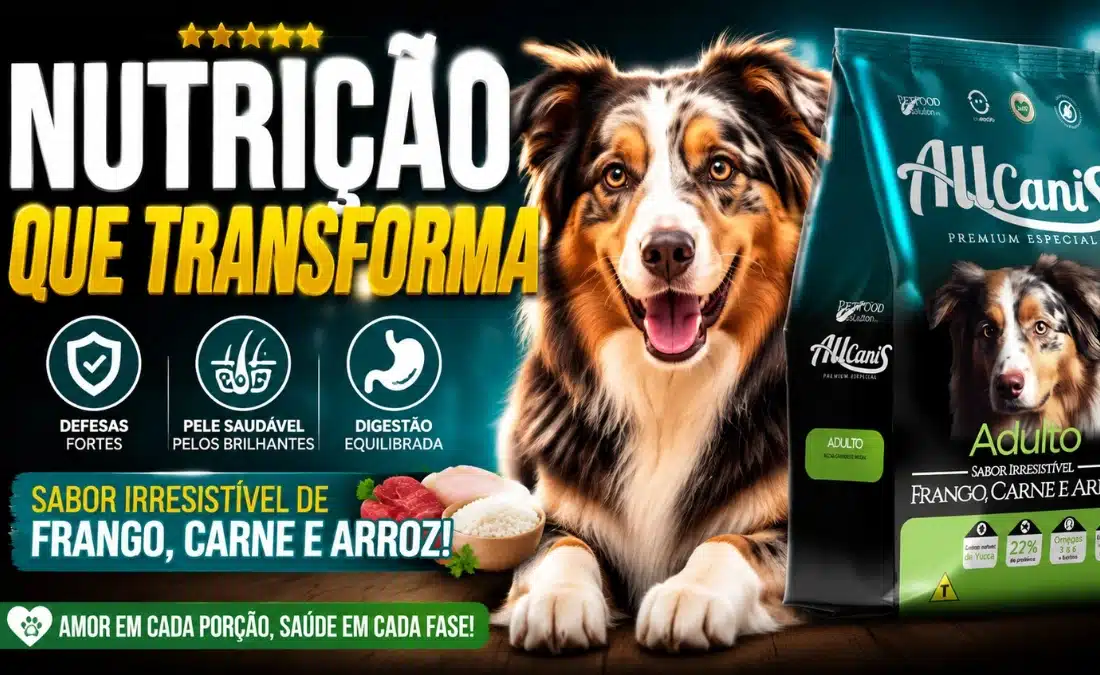 raçãoo allcanis raças médias e boa